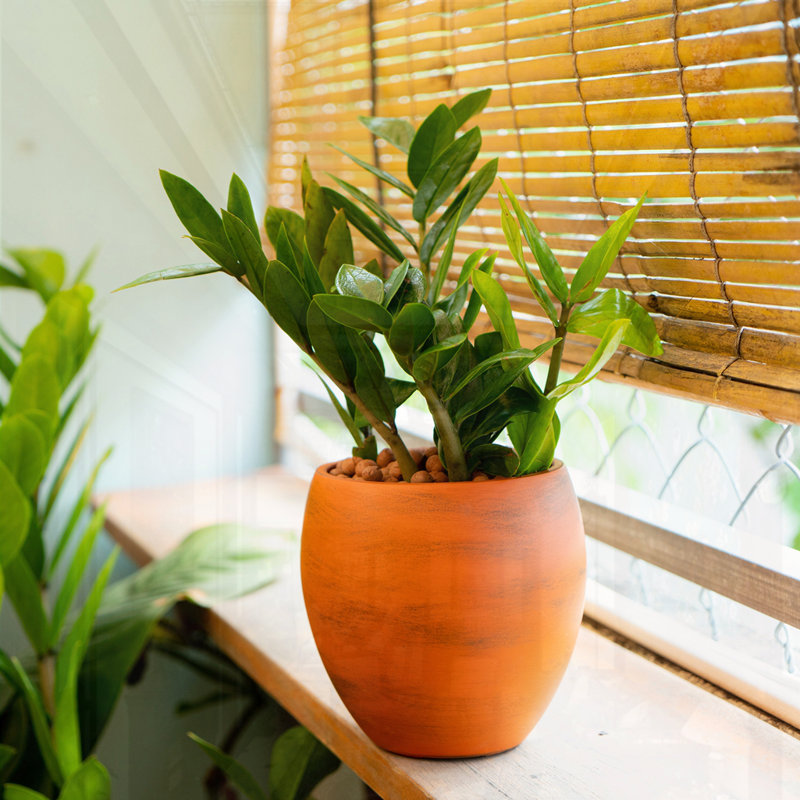 Smart Self-watering Round Planter Pot, Terracotta