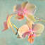 Jewel Orchids I 1 Piece Wrapped Canvas Wall Art-407811921