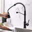 Robinet de cuisine avec douchette extractible et robinets d'évier de cuisine à poignée simple en acier inoxydable noir