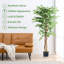 Ensemble de ficus artificiels en pot Vikki 2-961148632
