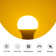 40 Watt Equivalent A19 E26/Medium (Standard) 2000K LED Bulb