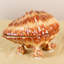 Porcelain Small Shell Box