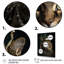 Royal Cat Crown Portrait I - art mural chat-2052261744-2052261745
