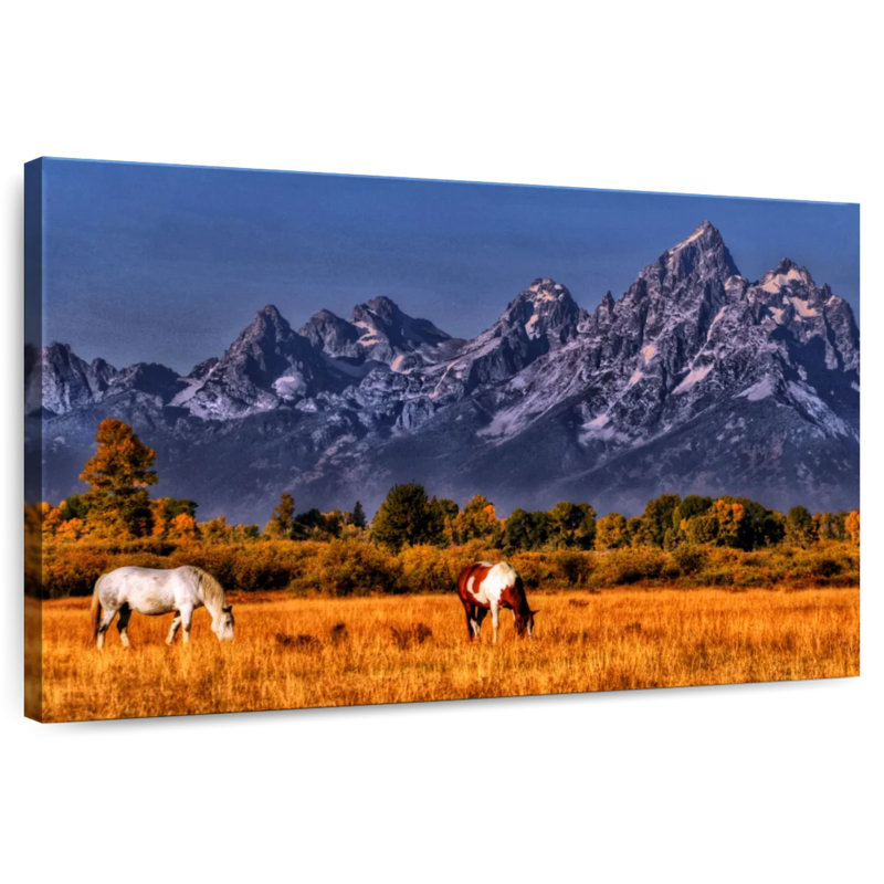 Chevaux d'Alvord broutant à Grand Teton, H 30 po x l 45 po