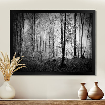 Beautiful Forest Morning Panorama - Print