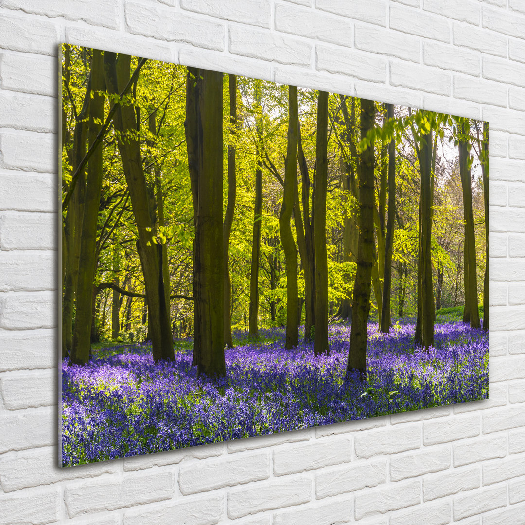 Glasbild Spring Forest