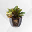 Pot à fleurs Nil-1298637456