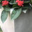 Boîte à fleurs en béton Wabbaseka-1955270477-1919453801