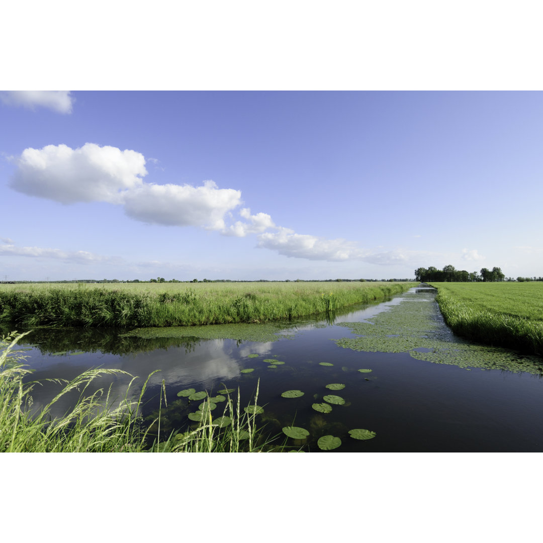 Ditch In Summer von VLIET - Kunstdrucke auf Leinwand ohne Rahmen