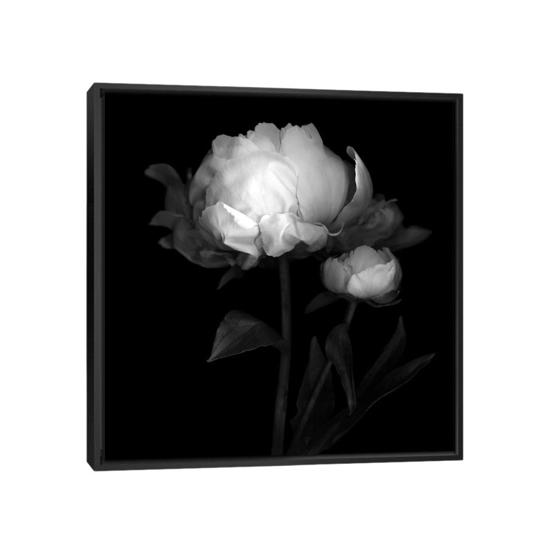 «Peony III, B&W» par Magda Indigo, impression sur toile, H 18 po x l 18 po x P 1,5 po, Toile avec cadre flottant noir
