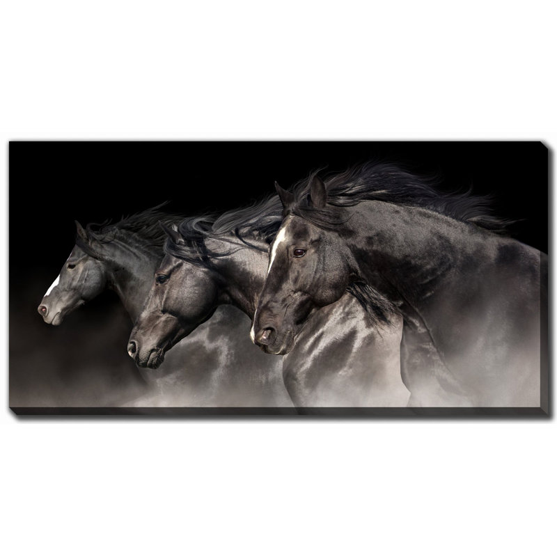 Art sur toile Black Stallions, H 10 po x l 20 po