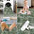 Modern Abstract Area Rugs for Living Room, Anti-Slip Carpet for Living Room, Bedroom-649097513