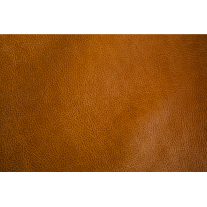 Midwest Leather Pet Bed, Extra Small (0-5kg), 11.8cm H x 31.1cm W x 27.2cm D, Tan