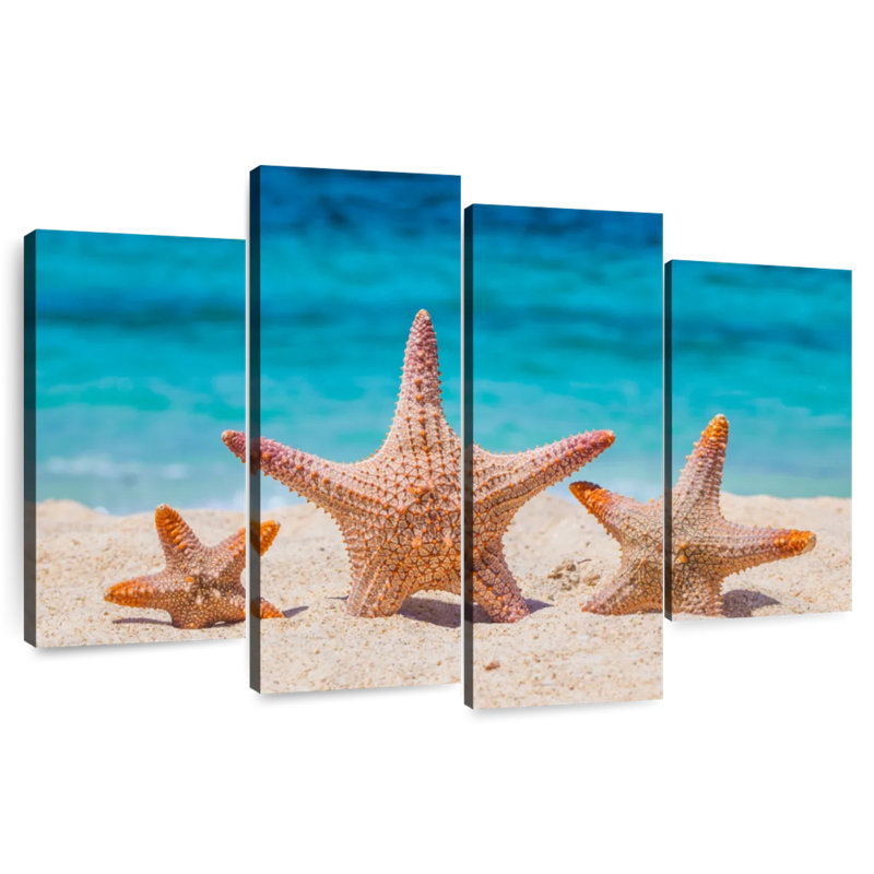 Starfish trio Aletra, H 22 po x l 36 po