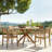 Amarrion Acacia Solid Wood Outdoor Dining Armchair-33691312