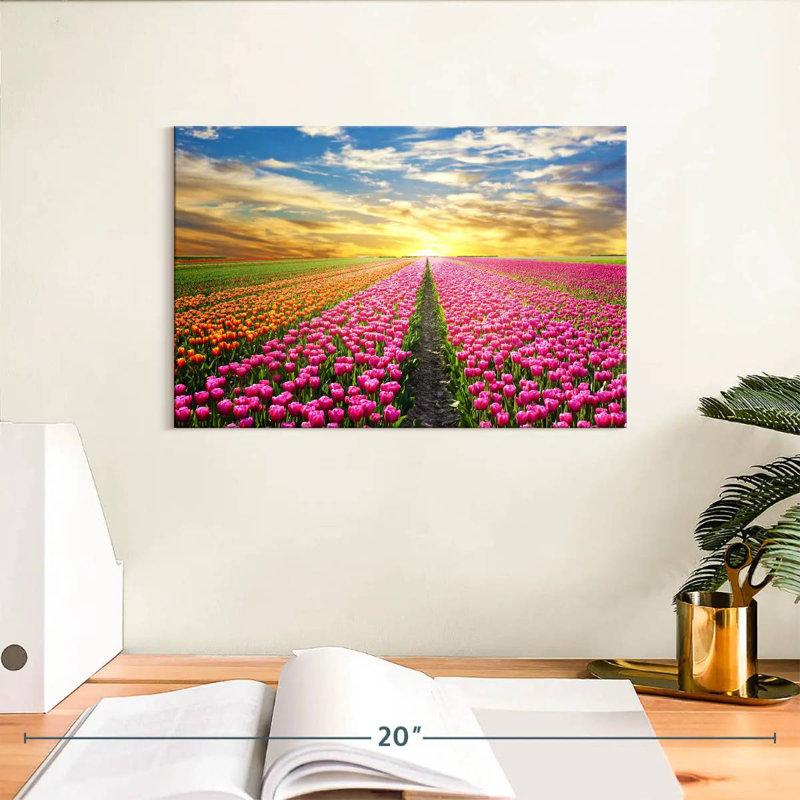 Tulipes des Pays-Bas Alvord, H 8 po x l 12 po