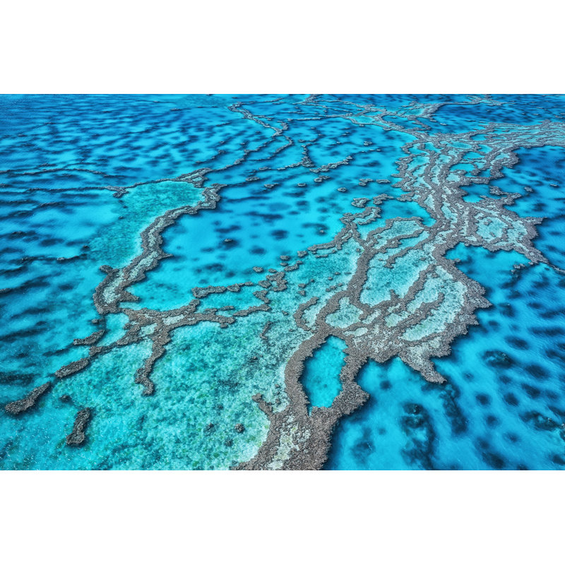 Great Barrier Reef, Queensland, Australia by Wataru Aoki - Wrapped Canvas Print, 81cm H x 122cm W