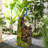 Volodia Outdoor Weather Resistant Cascade Fountain with Lights-291565300