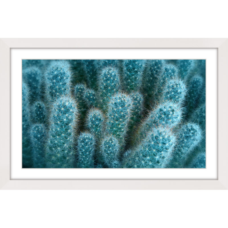 Single Picture Frame Print, 61cm H x 91cm W