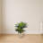 Double Agave Artificial Plant in Sandstone Planter