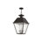 Arnetria 4 - Light Outdoor Hanging Lantern-22670193