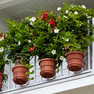 RailScapes Vertical Gardening Plant Clip For Narrow Spindle Railings