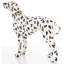 Animals Figurines & Sculptures