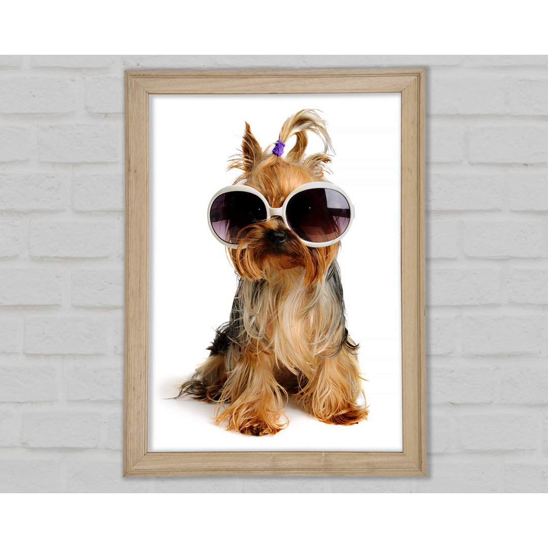 Gerahmtes Leinwandbild Yorkshire Terrier Dog Glamour