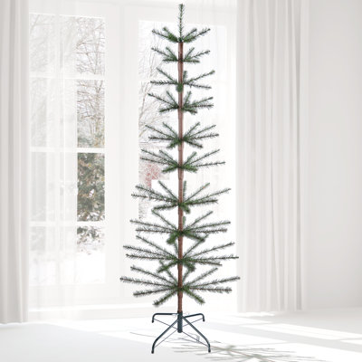 Arbre à poils avec une plume