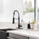 JS Pull Out Kitchen Faucet with Deck Plate 2 Spray Modes