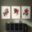 Red Botanical I - reproduction encadrée sur mesure de qualité supérieure mate - 3 pièces-1837228738-1837228737