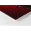 Non-Slip Outdoor Doormat