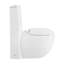 Toilette allongée une pièce à double chasse Plaisir 1,1 / 1,6 gpf