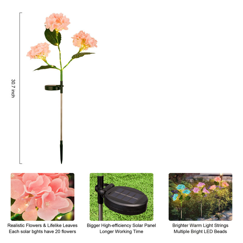 Ensemble de 2 lumières solaires pour sentier d'hortensias, Rose