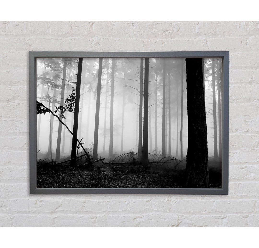 Black N White Woodland Mist - Einzelner Bilderrahmen Kunstdrucke auf Leinwand