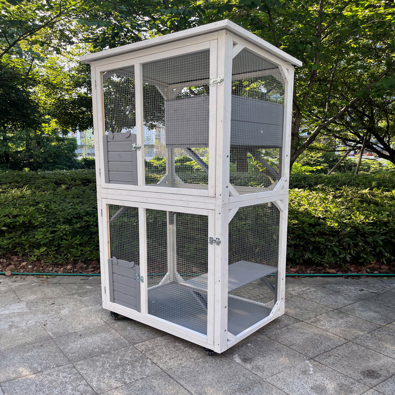 Cage de jeu d'extérieur pour chat
