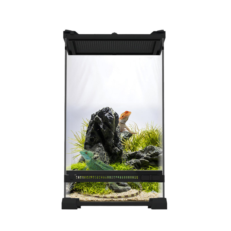 Terrarium für Reptilien, Glasterrarium Reptil Fütterungsbox mit Frontbelüftung, Reptilien-Beobachtungsbox mit Ausbruchsicherer Drehverschluss für Amphibien, Spinne, Schwarz