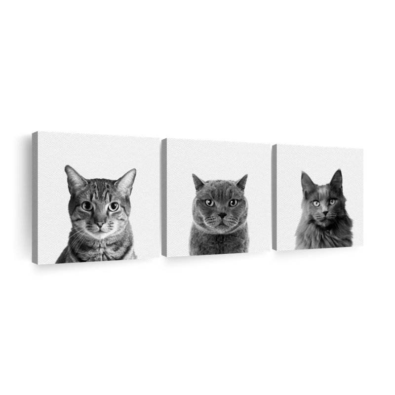 Trois chats, reproduction sur toile, H 8 po x l 26 po x P 1 po