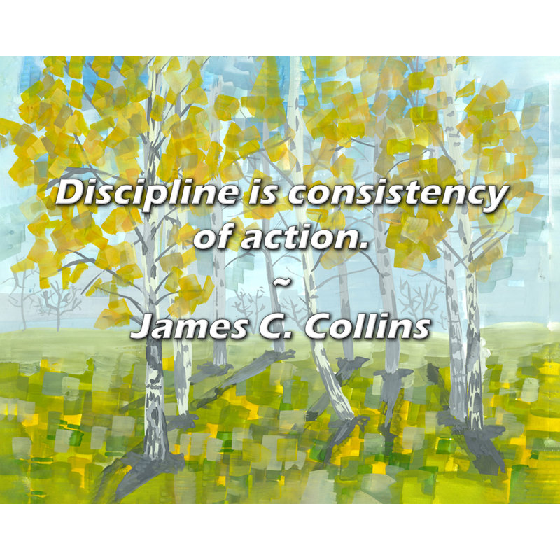 Citation de James C. Collins: La rigueur est la constance de l'action., H 15 po x l 18 po