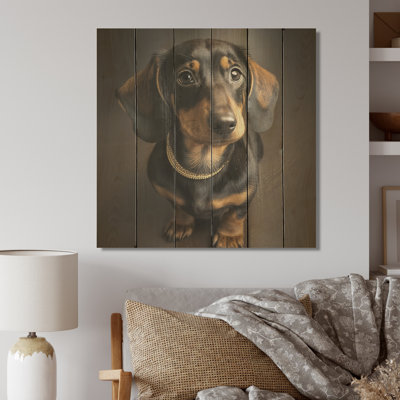 Daschund Portrait - Animals Dog Dachshund Print on Wood