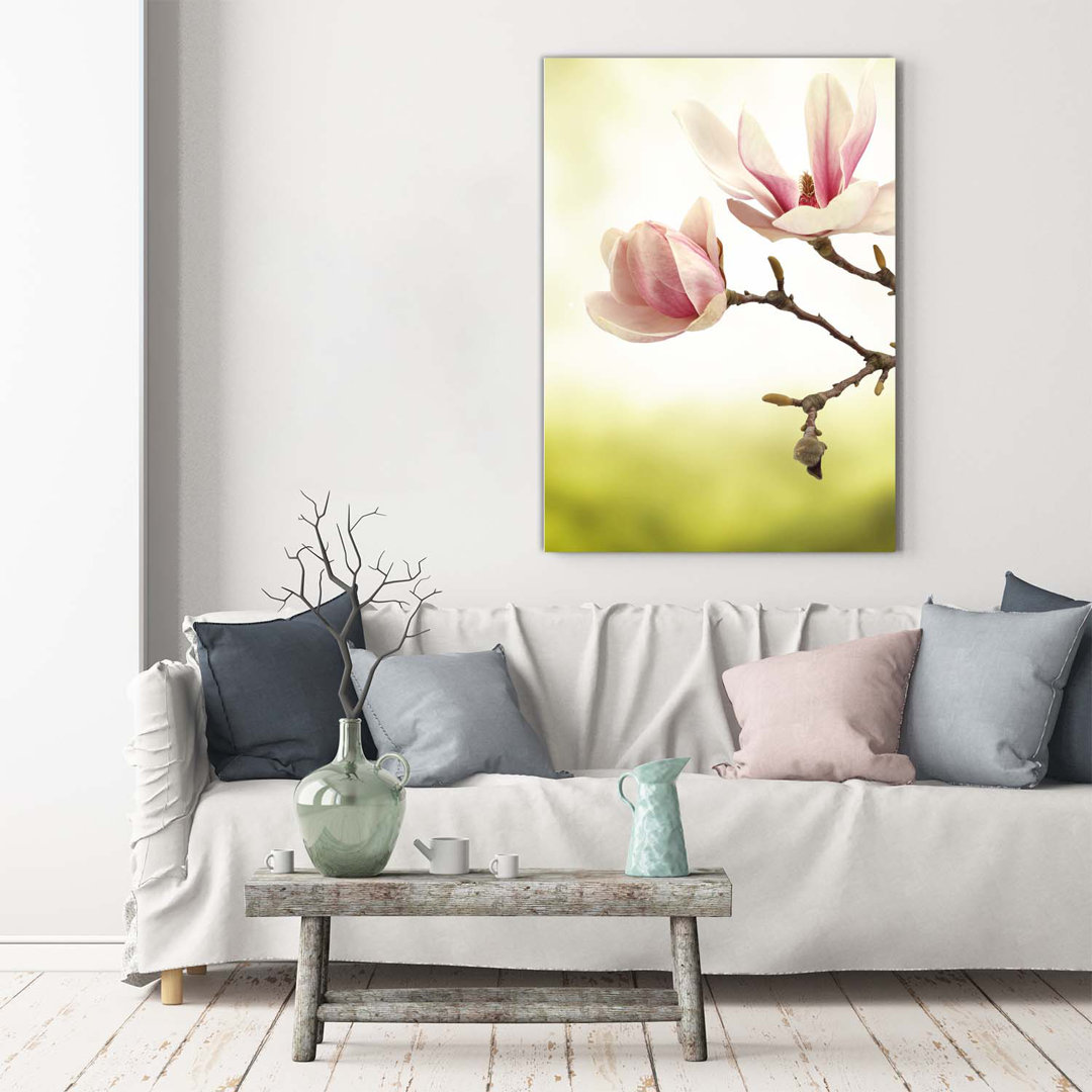 Magnolienblüten - Kunstdrucke auf Leinwand