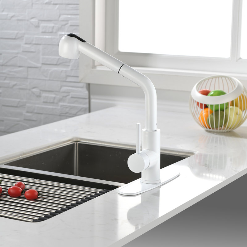 Fapully Pull Out Kitchen Faucet