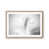 Oak Frame is unavailable