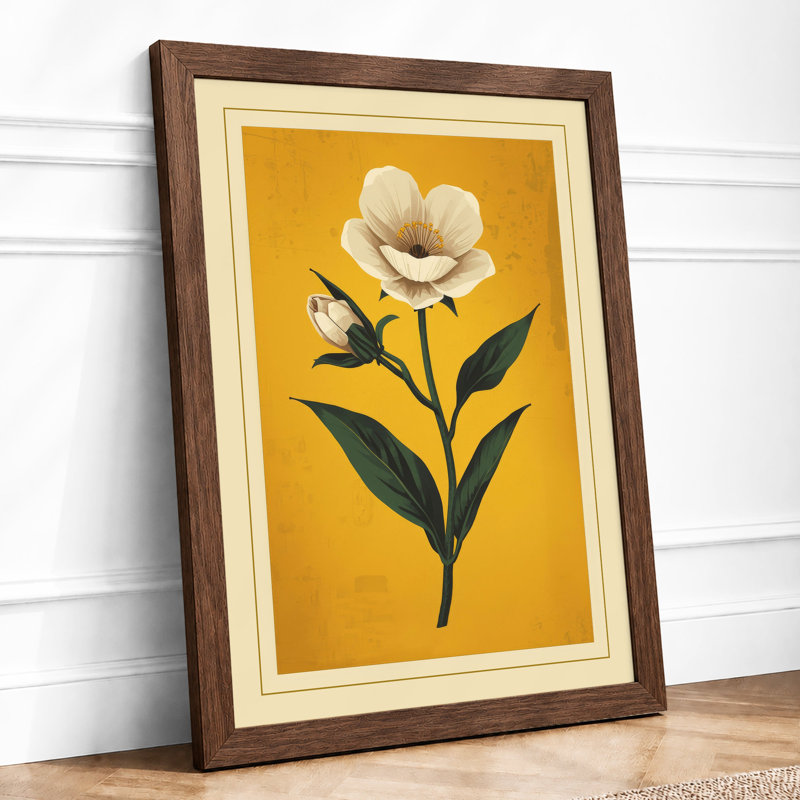 White Bloom Study Botanical - Framed Print, A2 - 59.4 x 42.0 cm, Walnut