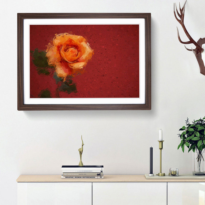 Orange Rose in Bloom - Picture Frame Graphic Art Print, 27cm H x 36cm W x 2cm D, Walnut Framed