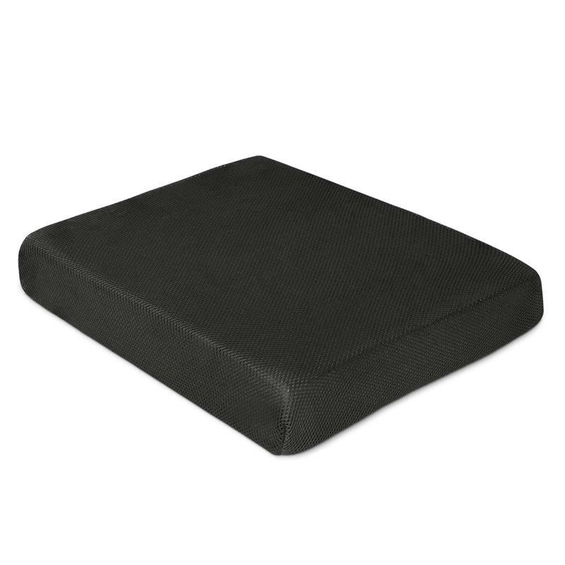 Ivy Bronx Seat Cushion