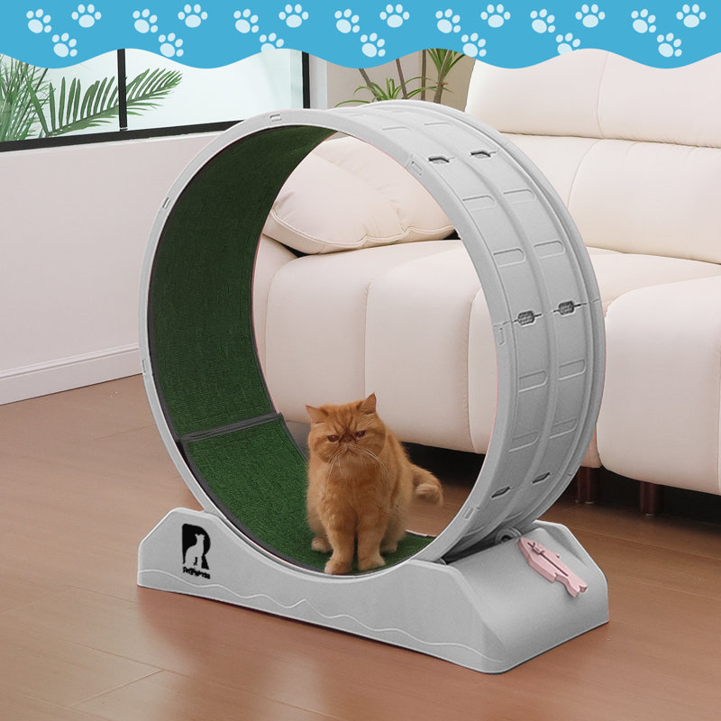 Roue d'exercice pour chat 33,5 "sans bruit, Gris