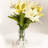 Glass Wall Vase