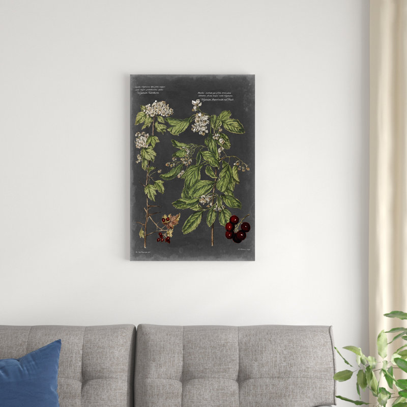 Tableau botanique rétro VI, H 30 po x l 20 po x P 1,25 po