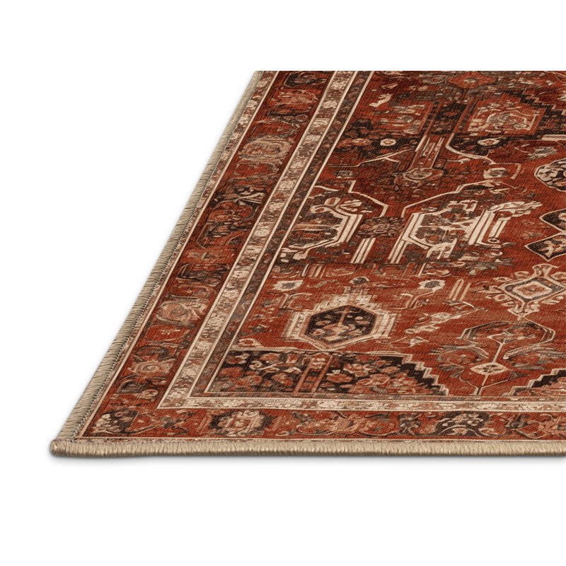 Tapis brun lavable à la machine, Rectangulaire 2 pi x 3 pi